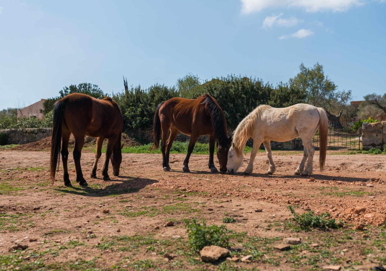 Agroturismo Sa Canoveta Colonia de Sant Jordi Eksteriør bilde